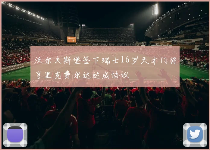 沃尔夫斯堡签下瑞士16岁天才门将亨里克费尔达达成协议